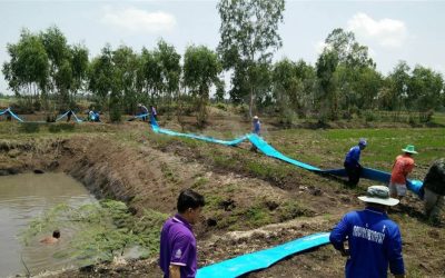Cómo elegir una manguera plana de riego para áreas áridas